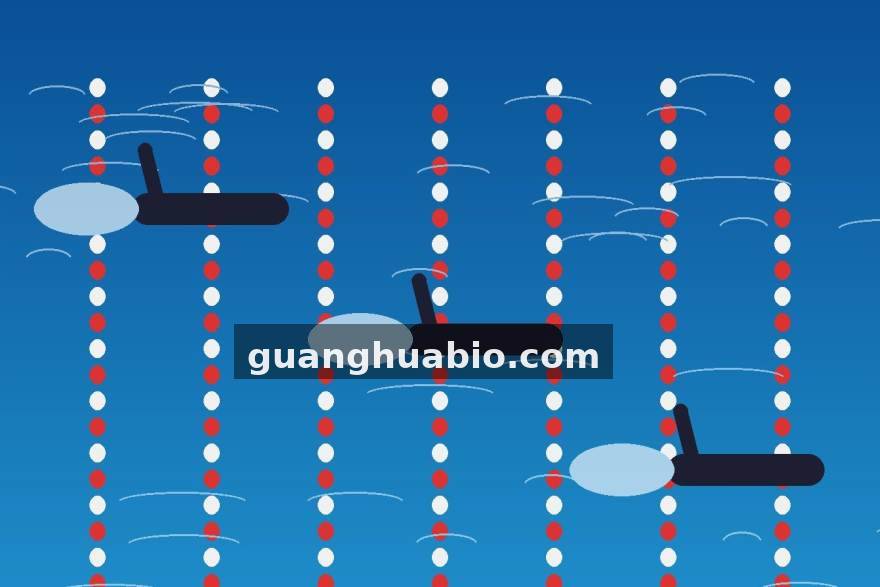 射门地图的另一面：比分大师用区域数据重读进攻选择
