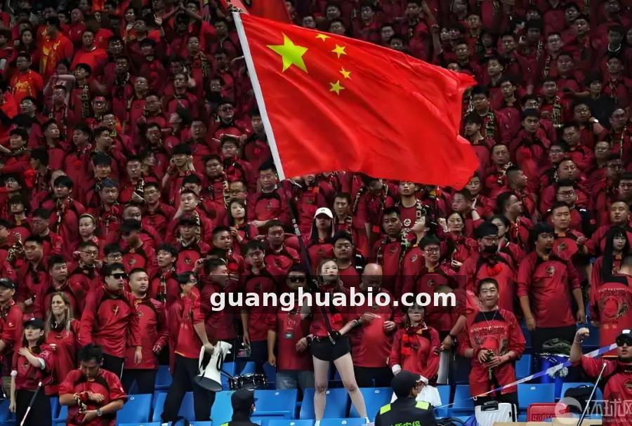 比分大师 从球探笔记到数据看台：一位青训教练的二十年观察手记